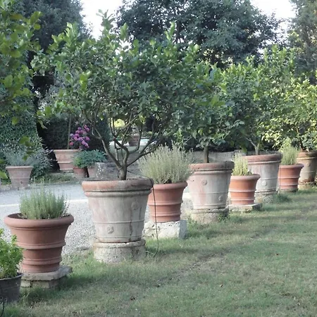 Castello Di San Fabiano בית כפרי